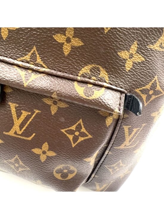 Louis Vuitton Palm Springs Backpack MM Monogram Leather Brown Gold main image 8